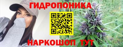 таблы Будённовск
